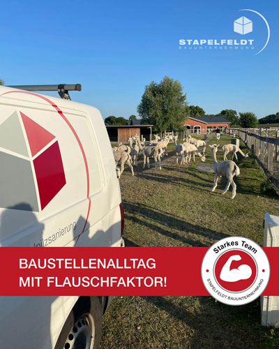 Baustellenfaktor mit Flauschfaktor | Bauunternehmen Stapelfeldt Bauunternehmung